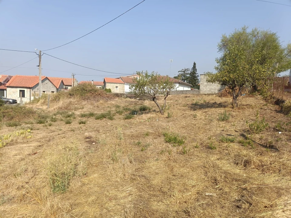 Terreno para Venda em Seia, São Romão e Lapa dos Dinheiros Foto 3