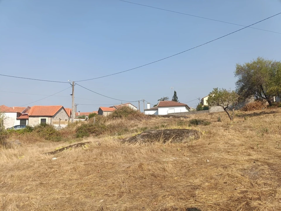 Terreno para Venda em Seia, São Romão e Lapa dos Dinheiros Foto 5