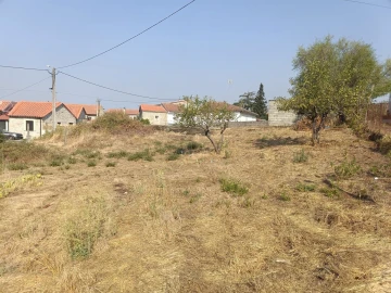 Terreno para Venda em Seia, São Romão e Lapa dos Dinheiros