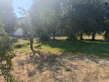 Terreno para Venda em Seia, São Romão e Lapa dos Dinheiros