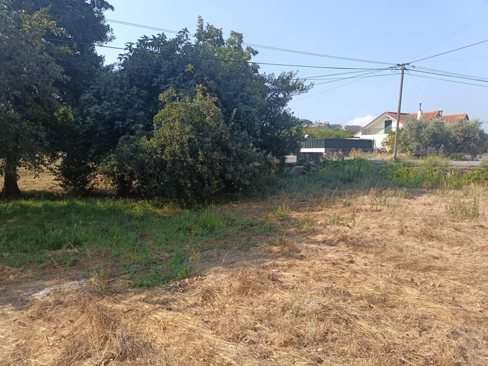 Terreno para Venda em Seia, São Romão e Lapa dos Dinheiros Foto 1