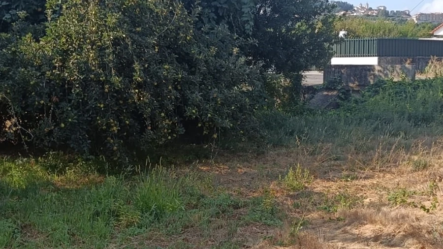 Terreno para Venda em Seia, São Romão e Lapa dos Dinheiros