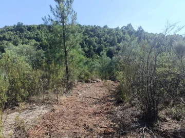 Terreno Agricola ou Rústico para Venda em Algodres