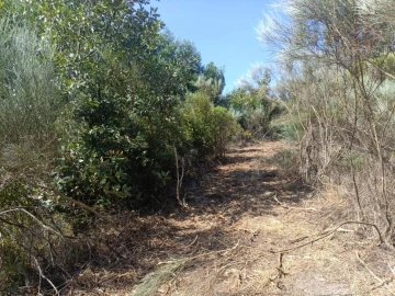 Terreno Agricola ou Rústico para Venda em Algodres