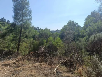Terreno Agricola ou Rústico para Venda em Algodres
