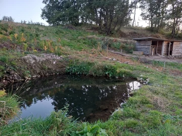 Quinta T2 para Venda em Linhares