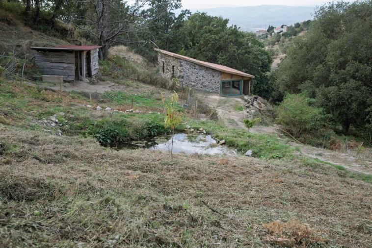 Quinta T2 para Venda em Linhares Foto 7