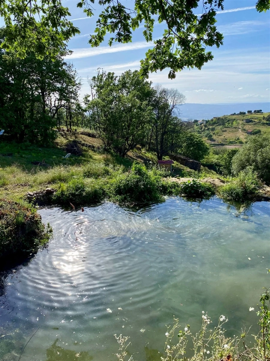 Quinta T2 para Venda em Linhares Foto 4