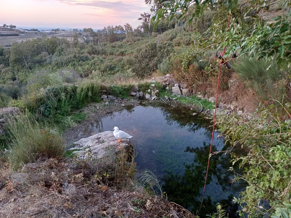 Quinta T2 para Venda em Linhares Foto 3