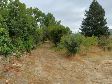 Quinta T5 para Venda em Figueiró da Serra e Freixo da Serra