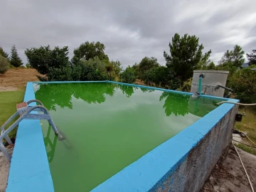Quinta T5 para Venda em Figueiró da Serra e Freixo da Serra