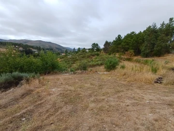 Quinta T5 para Venda em Figueiró da Serra e Freixo da Serra