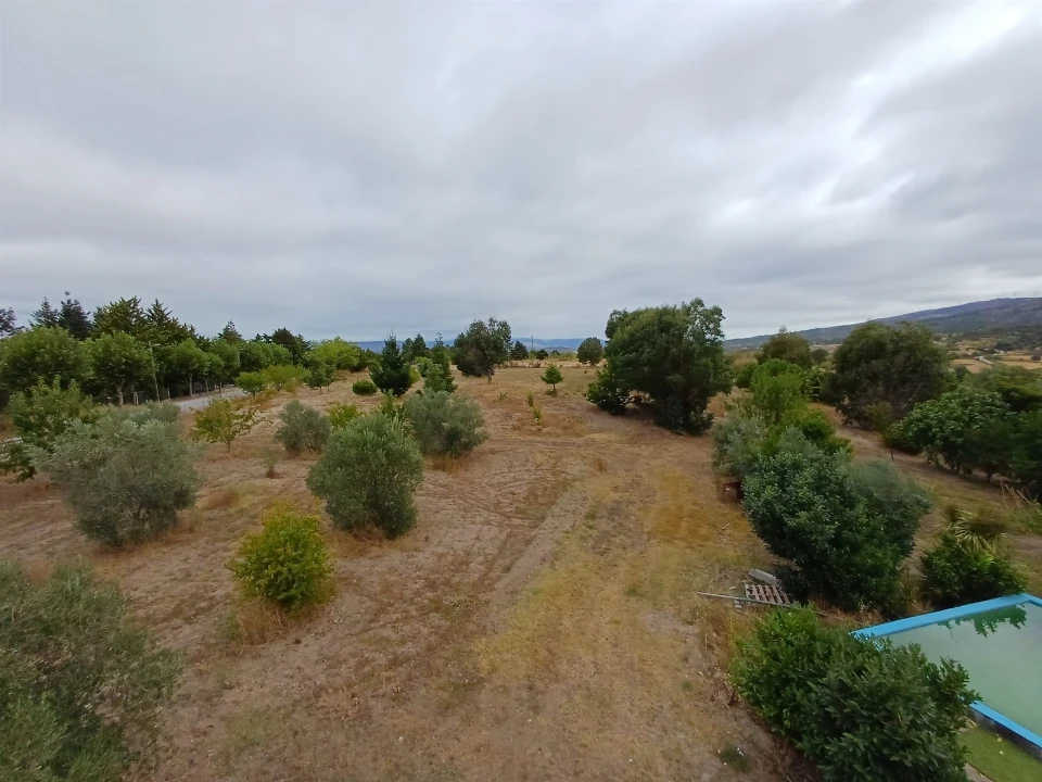 Quinta T5 para Venda em Figueiró da Serra e Freixo da Serra Foto 12