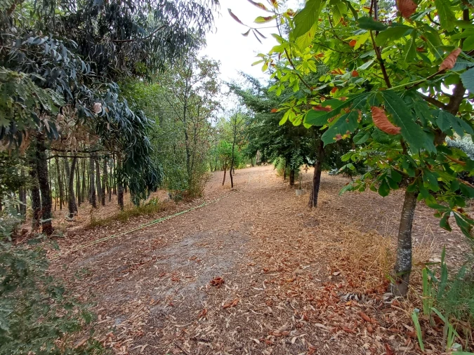 Quinta T5 para Venda em Figueiró da Serra e Freixo da Serra Foto 3
