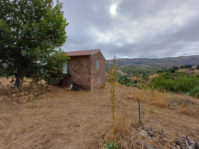 Quinta T5 para Venda em Figueiró da Serra e Freixo da Serra Foto 14