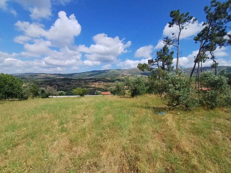 Terreno para Venda em Figueiró da Serra e Freixo da Serra Foto 2