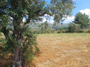 Terreno para Venda em Figueiró da Serra e Freixo da Serra
