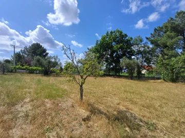 Terreno para Venda em Figueiró da Serra e Freixo da Serra