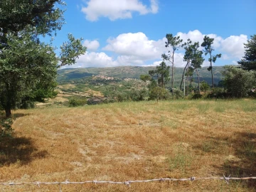 Terreno para Venda em Figueiró da Serra e Freixo da Serra