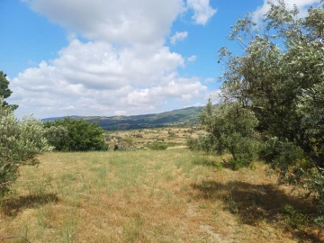 Terreno para Venda em Figueiró da Serra e Freixo da Serra
