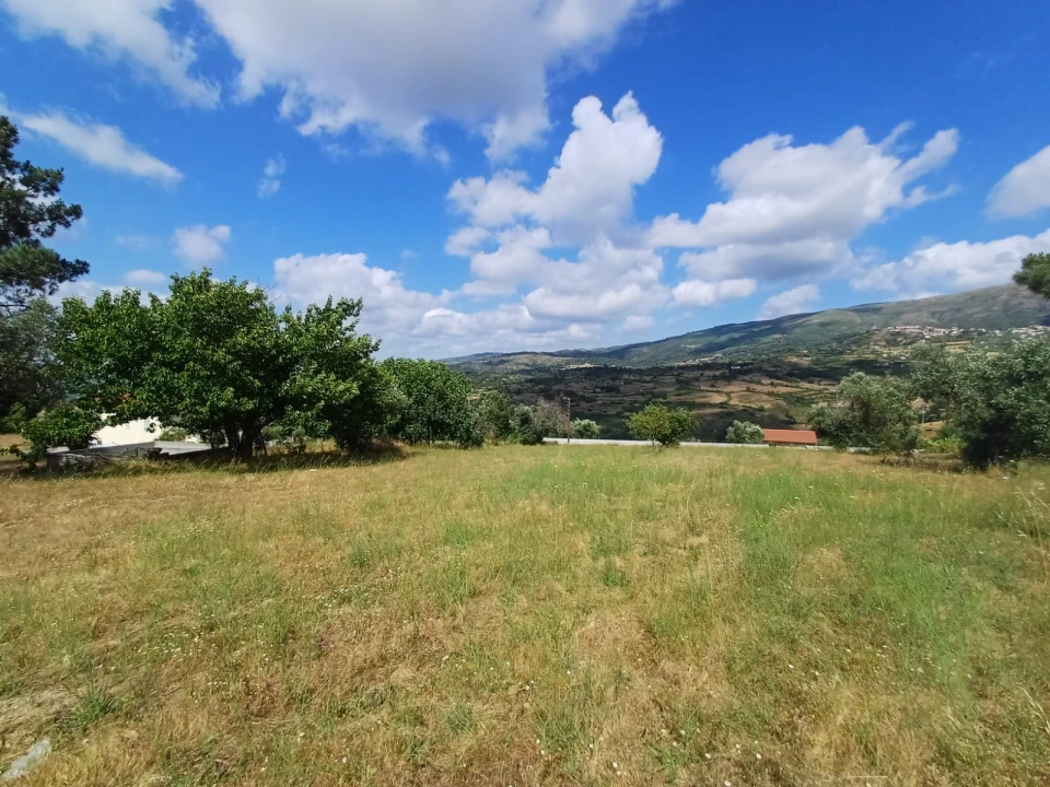 Terreno para Venda em Figueiró da Serra e Freixo da Serra Foto 1