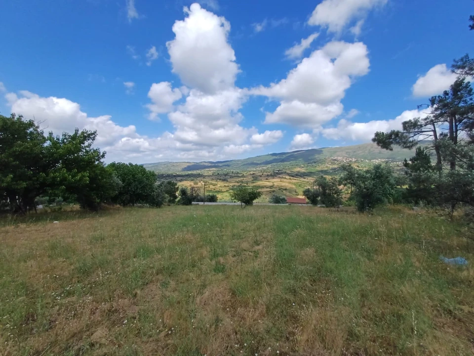 Terreno para Venda em Figueiró da Serra e Freixo da Serra Foto 4