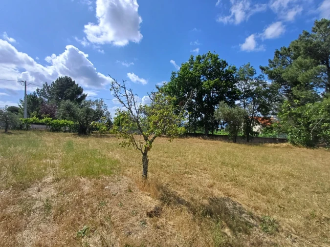 Terreno para Venda em Figueiró da Serra e Freixo da Serra Foto 3