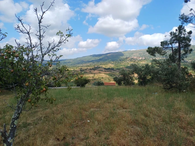 Terreno para Venda em Figueiró da Serra e Freixo da Serra Foto 8