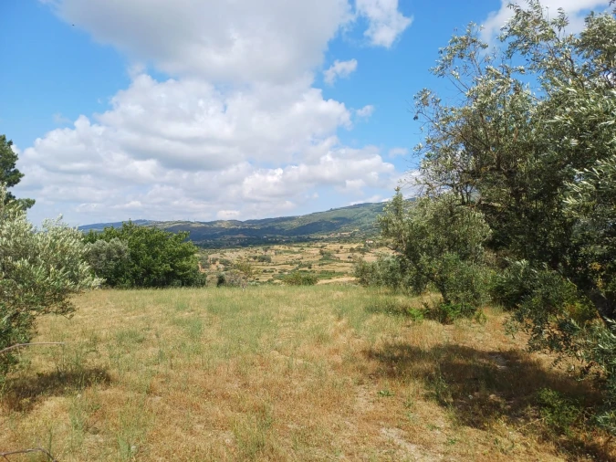 Terreno para Venda em Figueiró da Serra e Freixo da Serra Foto 7