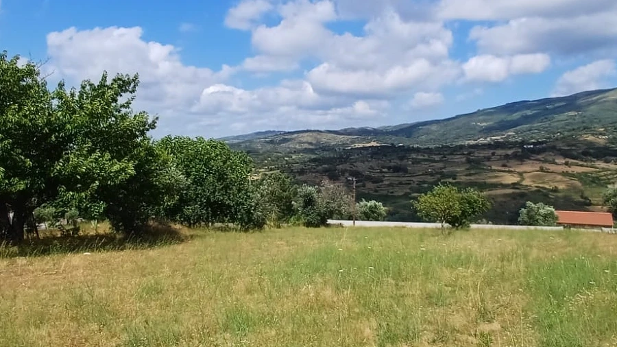 Terreno para Venda em Figueiró da Serra e Freixo da Serra