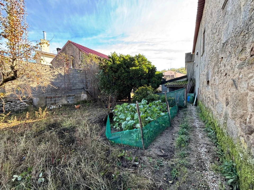 Moradia T3 para Venda em São Paio Foto 14