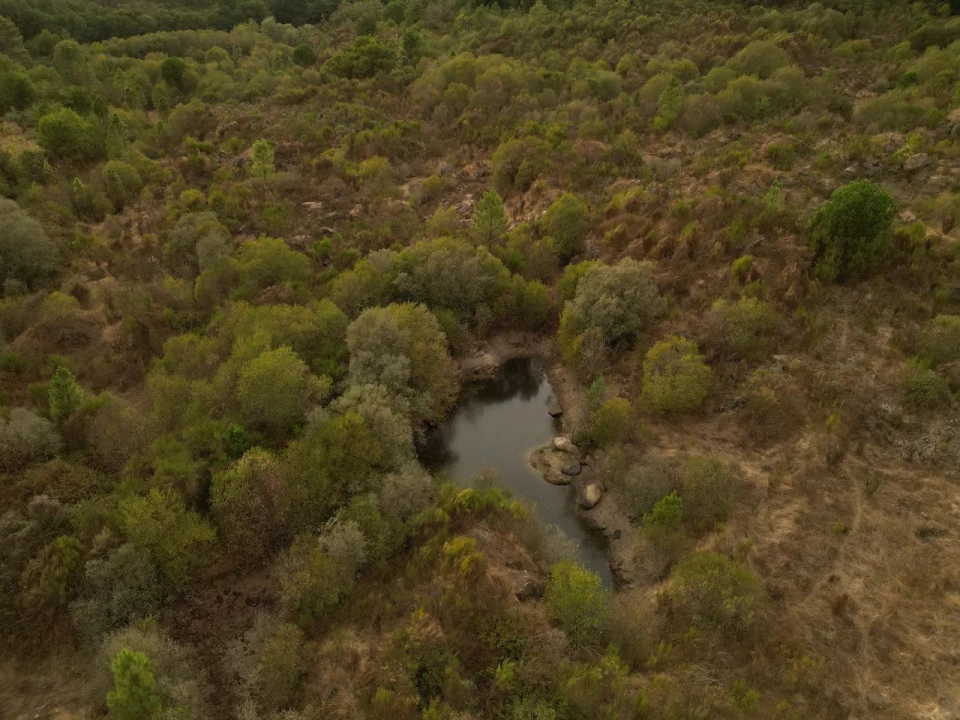 Terreno Agricola ou Rústico para Venda em Rio Torto e Lagarinhos Foto 11