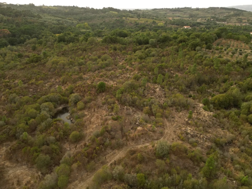 Terreno Agricola ou Rústico para Venda em Rio Torto e Lagarinhos Foto 6