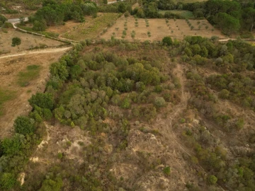 Terreno Agricola ou Rústico para Venda em Rio Torto e Lagarinhos