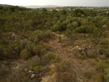 Terreno Agricola ou Rústico para Venda em Rio Torto e Lagarinhos