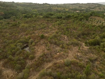 Terreno Agricola ou Rústico para Venda em Rio Torto e Lagarinhos