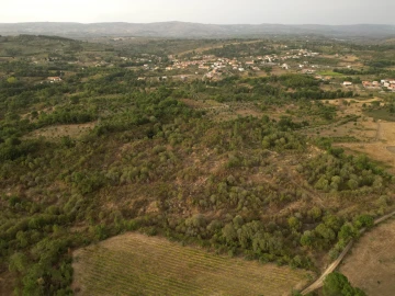 Terreno Agricola ou Rústico para Venda em Rio Torto e Lagarinhos