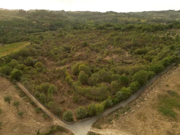 Terreno Agricola ou Rústico para Venda em Rio Torto e Lagarinhos