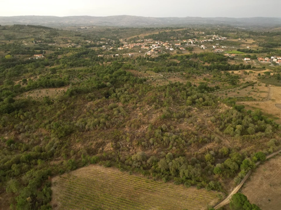 Terreno Agricola ou Rústico para Venda em Rio Torto e Lagarinhos Foto 1