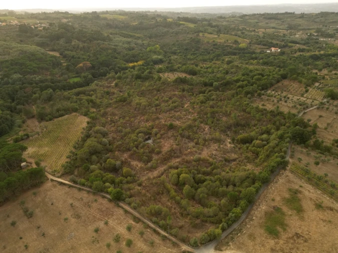 Terreno Agricola ou Rústico para Venda em Rio Torto e Lagarinhos Foto 13