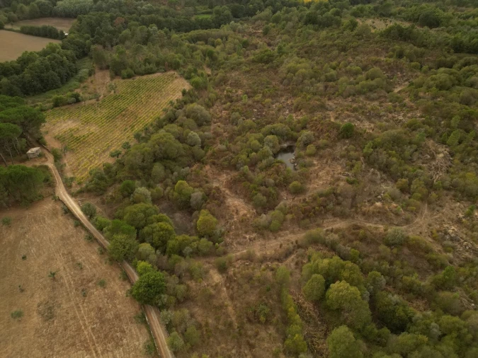 Terreno Agricola ou Rústico para Venda em Rio Torto e Lagarinhos Foto 8