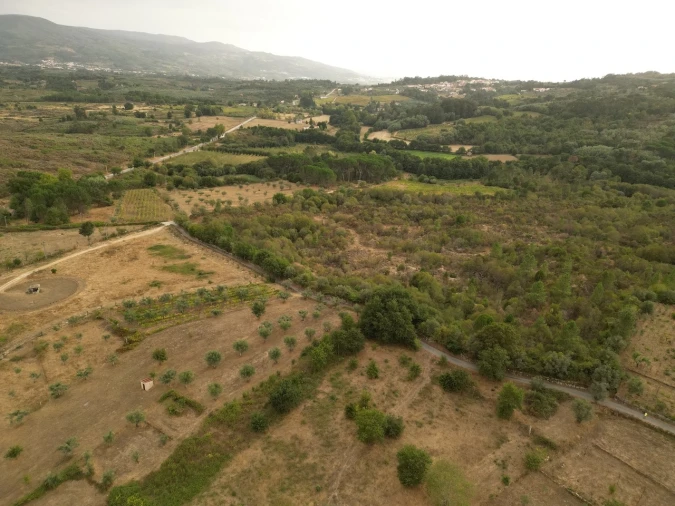 Terreno Agricola ou Rústico para Venda em Rio Torto e Lagarinhos Foto 2