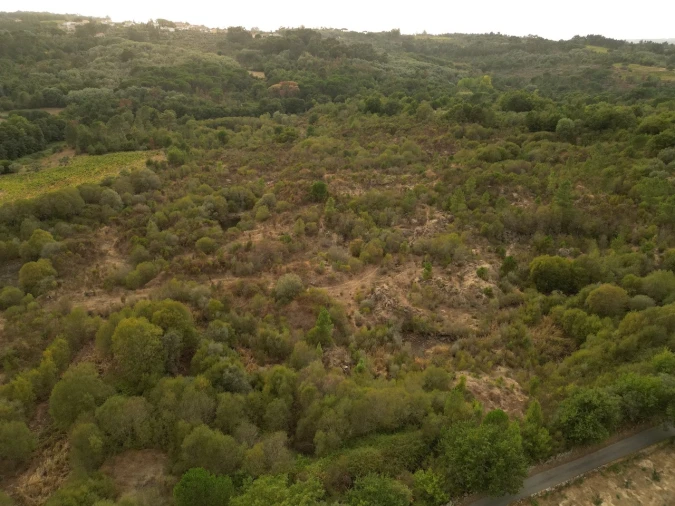 Terreno Agricola ou Rústico para Venda em Rio Torto e Lagarinhos Foto 4