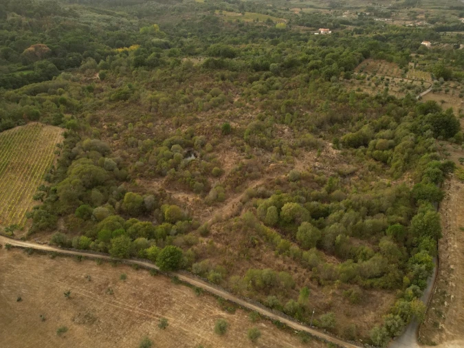 Terreno Agricola ou Rústico para Venda em Rio Torto e Lagarinhos Foto 9