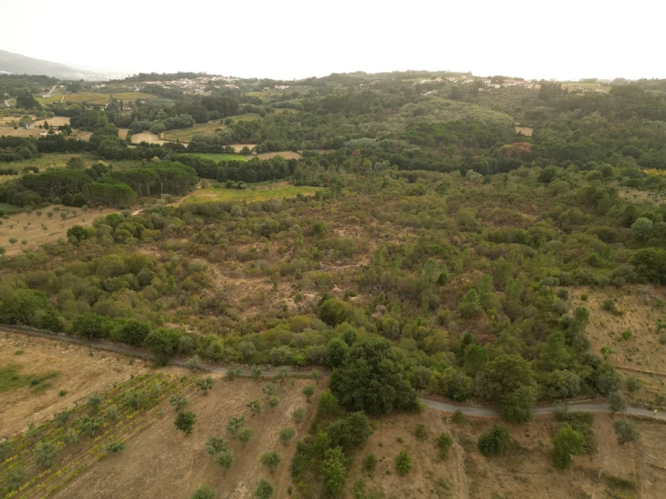 Terreno Agricola ou Rústico para Venda em Rio Torto e Lagarinhos Foto 3