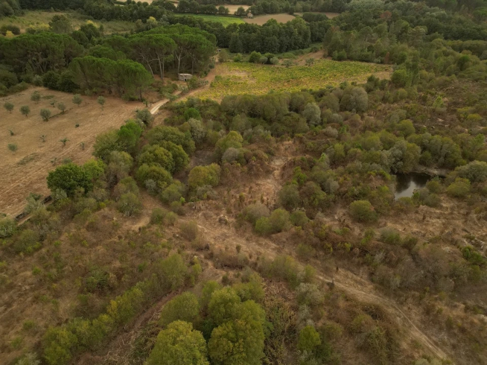 Terreno Agricola ou Rústico para Venda em Rio Torto e Lagarinhos Foto 5