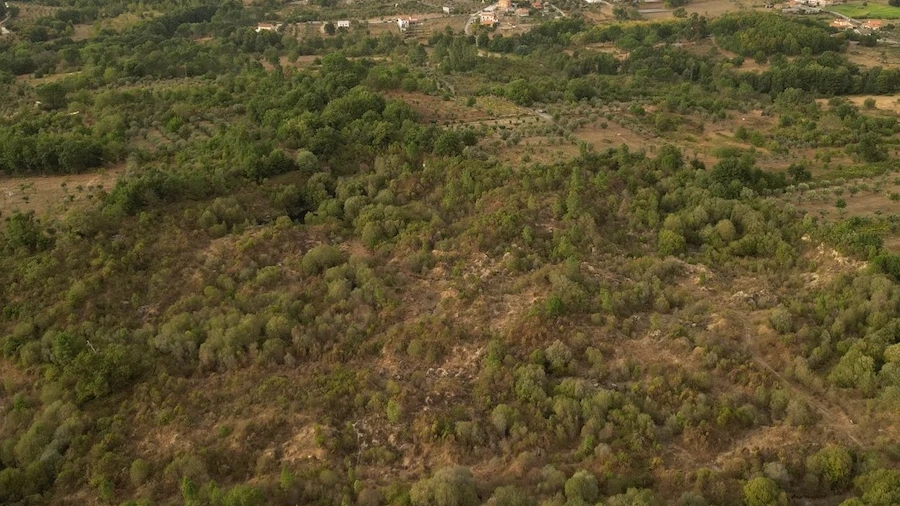 Terreno Agricola ou Rústico para Venda em Rio Torto e Lagarinhos