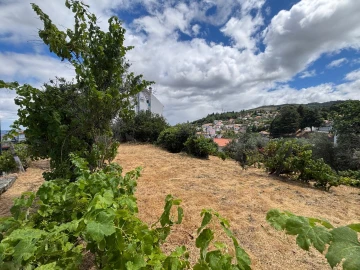 Terreno para Venda em Gouveia (São Pedro e São Julião)