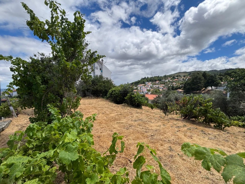 Terreno para Venda em Gouveia (São Pedro e São Julião) Foto 3