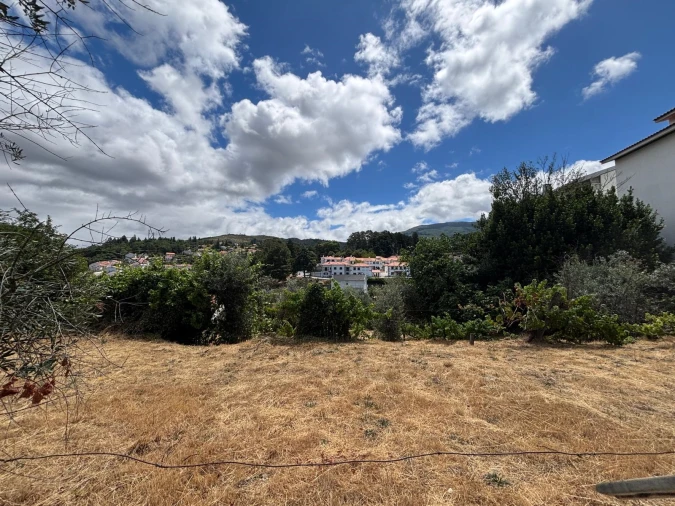 Terreno para Venda em Gouveia (São Pedro e São Julião) Foto 2